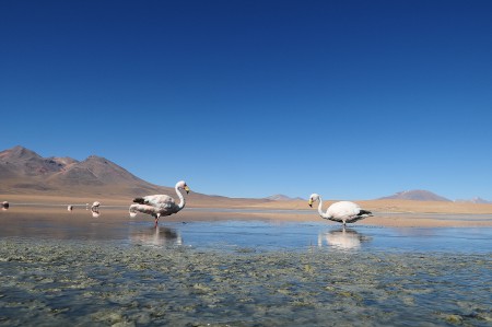 Bolivia 2013